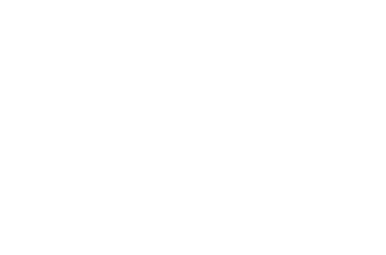 LA ECONOMIA